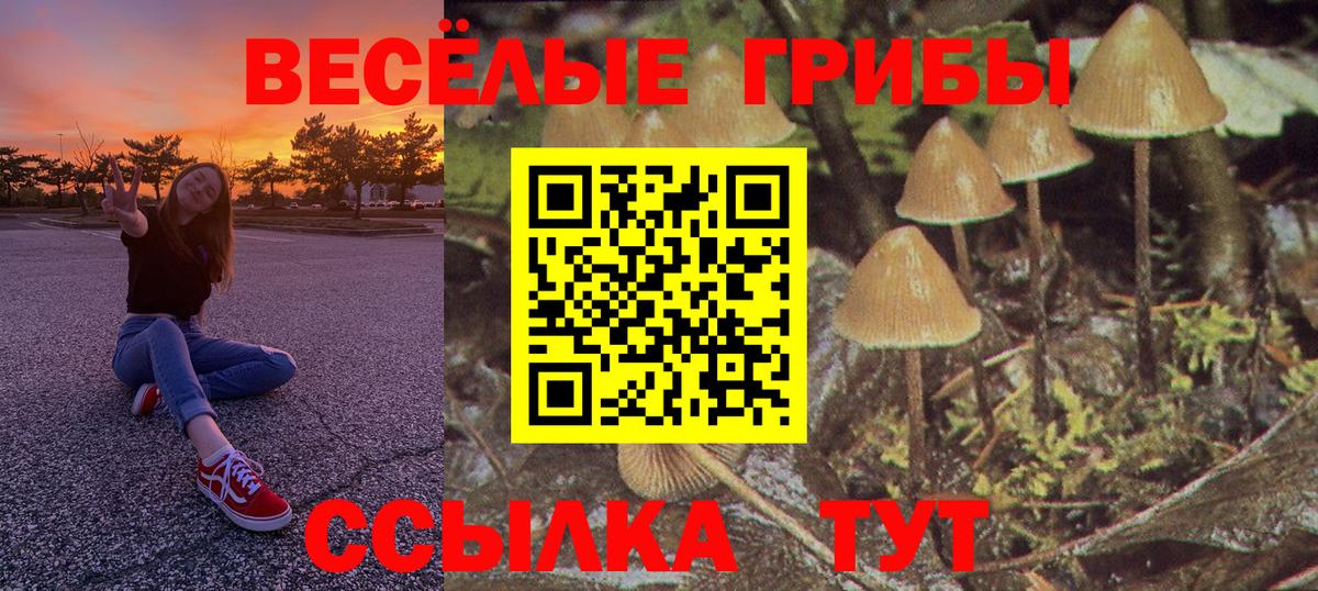 Пыть-Ях  Галлюциногенные грибы прущие грибы  Вход с VPN 